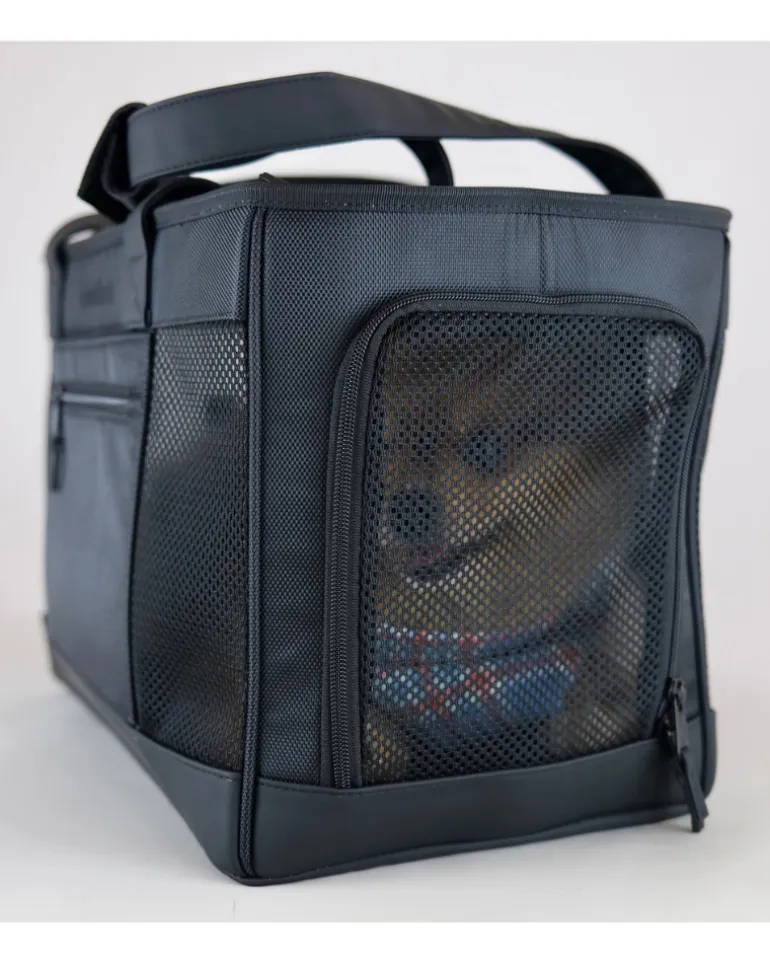 City to Sky Pet Travel Carrier
