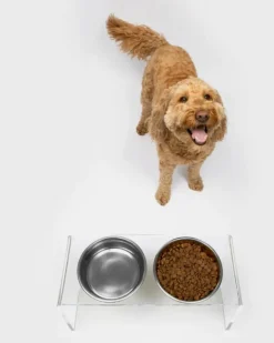 Clear Lucite Double Bowl Pet Feeder (Made in the USA) (Direct-Ship)