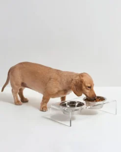 Clear Lucite Double Bowl Pet Feeder (Made in the USA) (Direct-Ship)