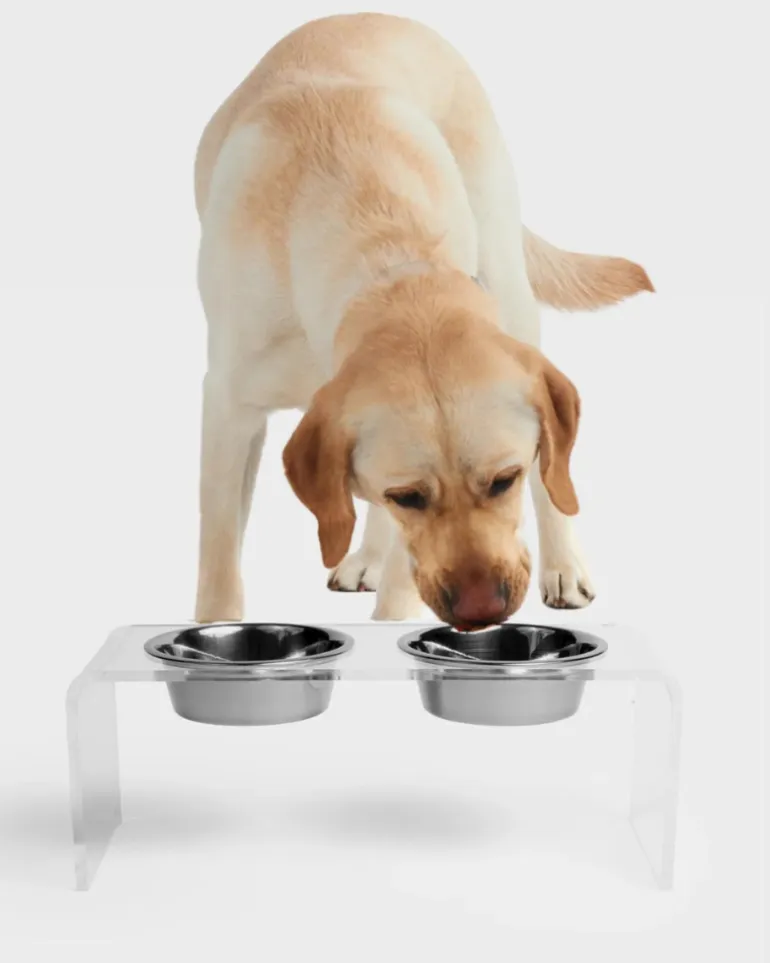 Clear Lucite Double Bowl Pet Feeder (Made in the USA) (Direct-Ship)