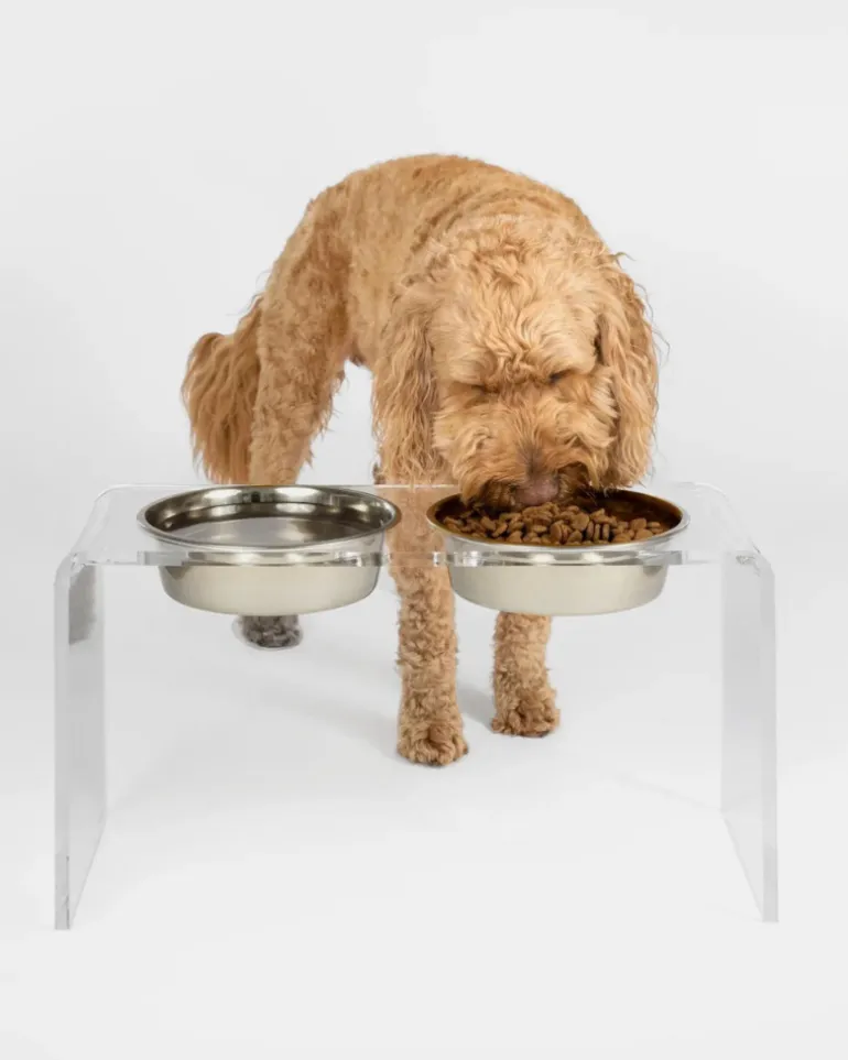 Clear Lucite Double Bowl Pet Feeder (Made in the USA) (Direct-Ship)