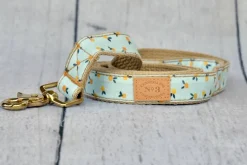 Clementine Dog Collar (Made in the USA)
