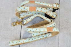 Clementine Dog Collar (Made in the USA)