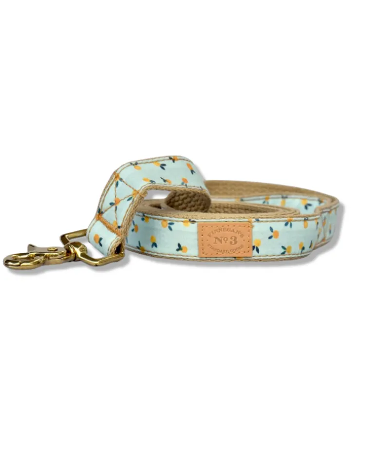 Clementine Dog Lead (Made in the USA)