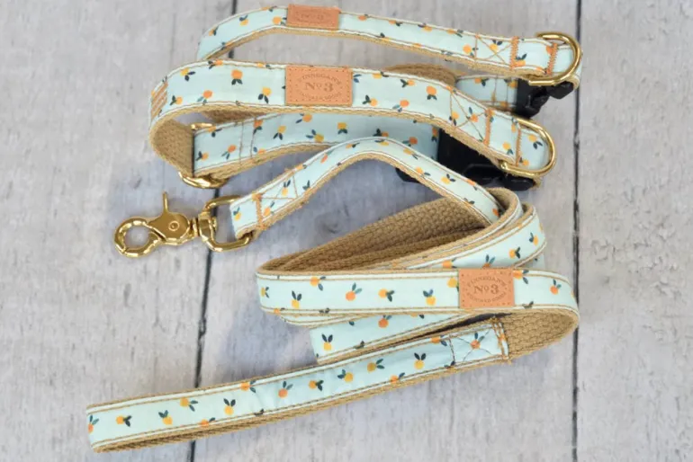 Clementine Dog Lead (Made in the USA)