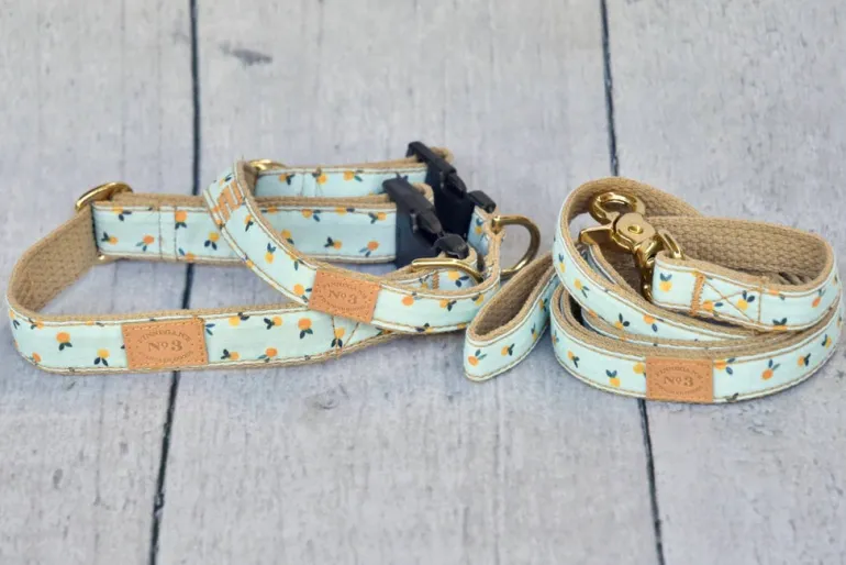 Clementine Dog Lead (Made in the USA)