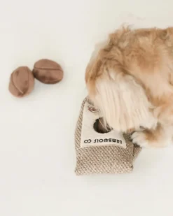 Coffee Beans Enrichment Dog Toy