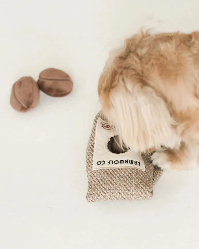 Coffee Beans Enrichment Dog Toy