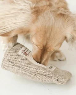 Coffee Beans Enrichment Dog Toy