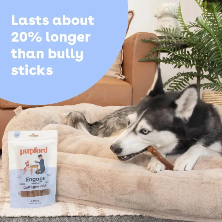 Collagen Stick Chew for Dogs