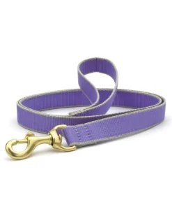 Color Market Dog Leash in Lavender (Made in the USA)
