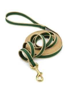 Color Market Dog Training Leash in Forest & Tan (Made in the USA)