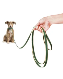 Color Market Dog Training Leash in Forest & Tan (Made in the USA)