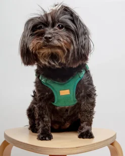 Comfort Dog Harness in Green