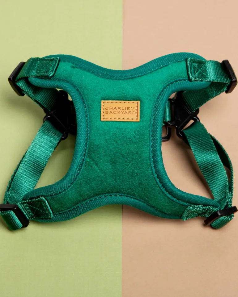 Comfort Dog Harness in Green
