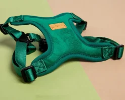 Comfort Dog Harness in Green