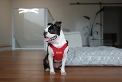 Comfort Dog Harness in Red