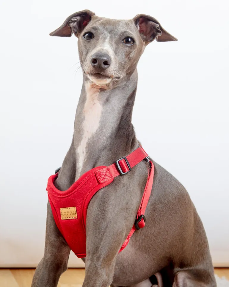 Comfort Dog Harness in Red