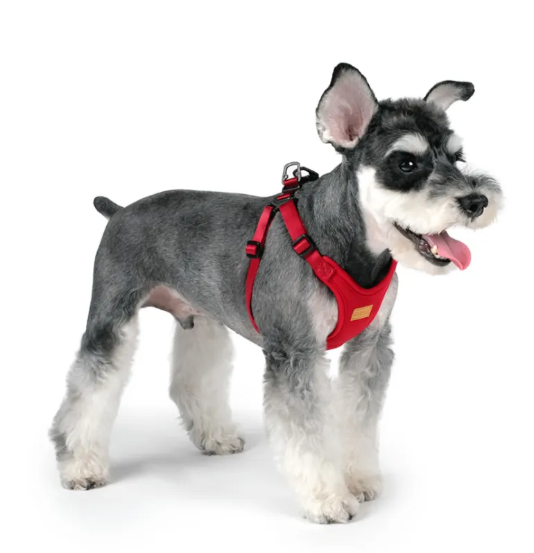 Comfort Dog Harness in Red