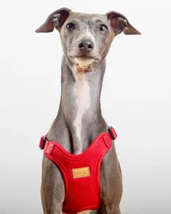 Comfort Dog Harness in Red