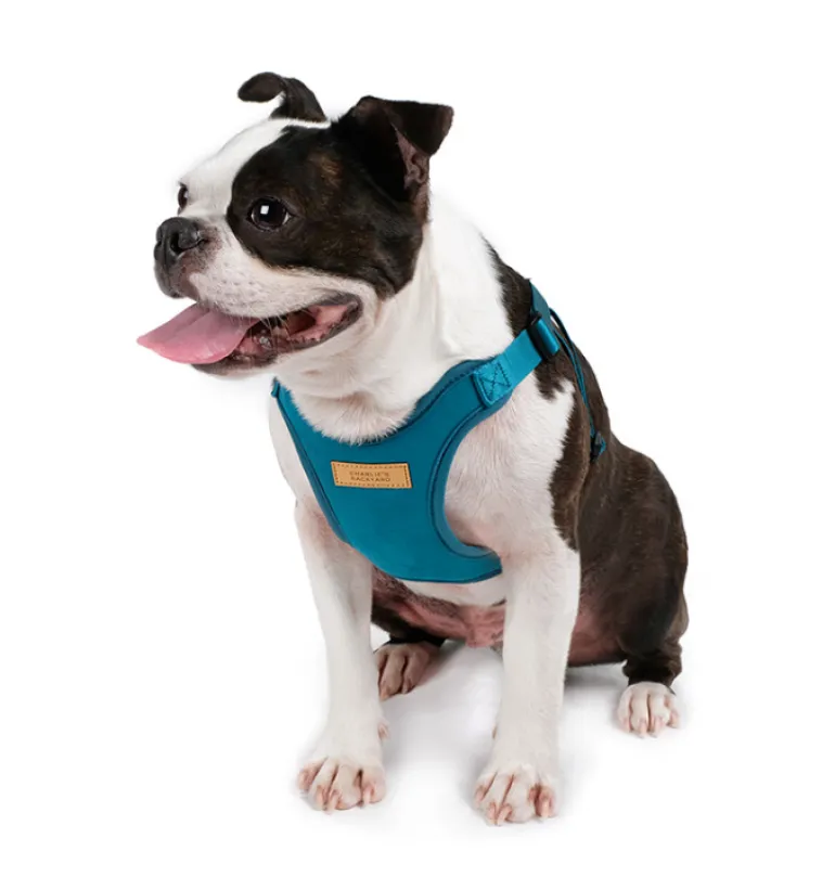 Comfort Dog Harness in Teal