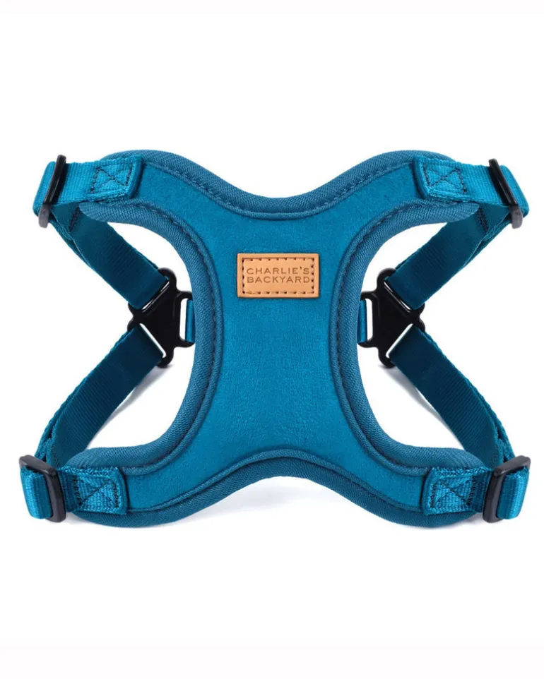 Comfort Dog Harness in Teal