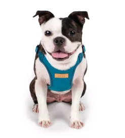 Comfort Dog Harness in Teal