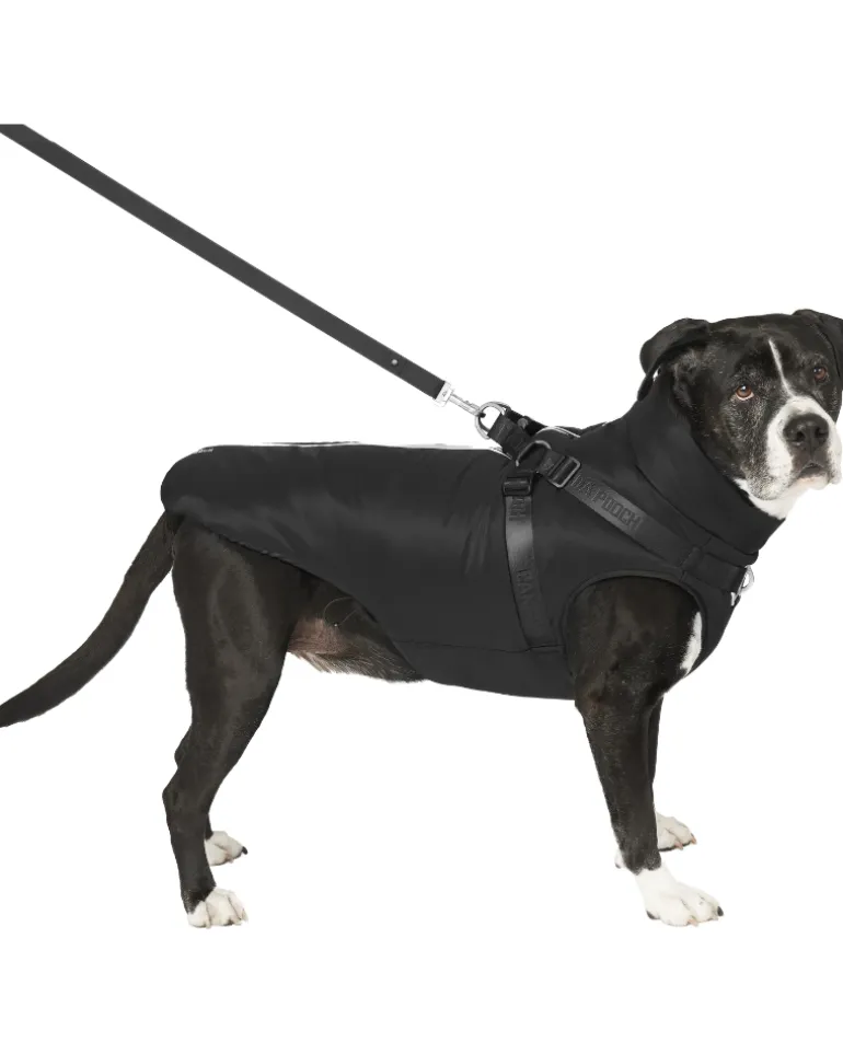 Complete Control Harness Winter Dog Jacket