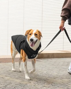 Complete Control Harness Winter Dog Jacket