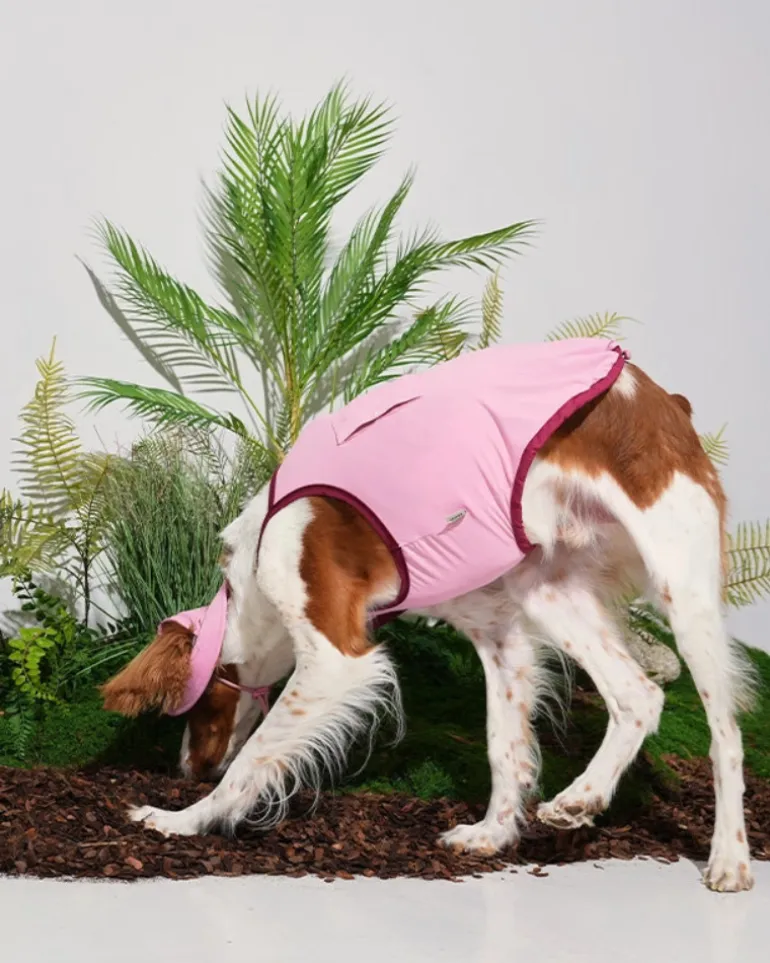 Cooling Dog Tank Top in Pink