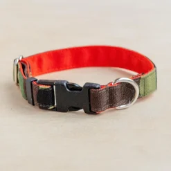 Cordura Dog Collar in Camo & Neon Orange (Made in the USA)