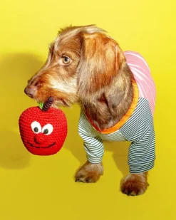 Cotton Crochet Apple Dog Toy