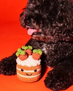 Cotton Crochet Carrot Cake Dog Toy