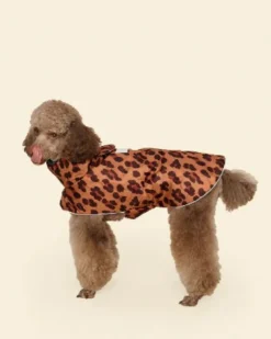 Cougar Dog Raincoat