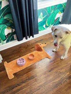 Dachshund Door, Bath + Feeding Mat