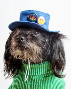 Denim Pet Bucket Hat (Made in the USA)