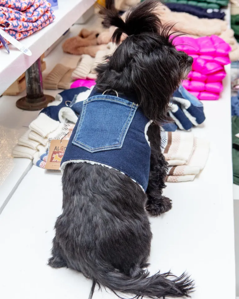 Denim & Shearling Sherpa Dog Harness (Made in the USA) (Dog & Co. Exclusive)