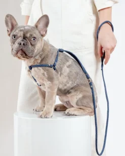 Denim Step-In Adjustable Dog Harness (Made in the USA)