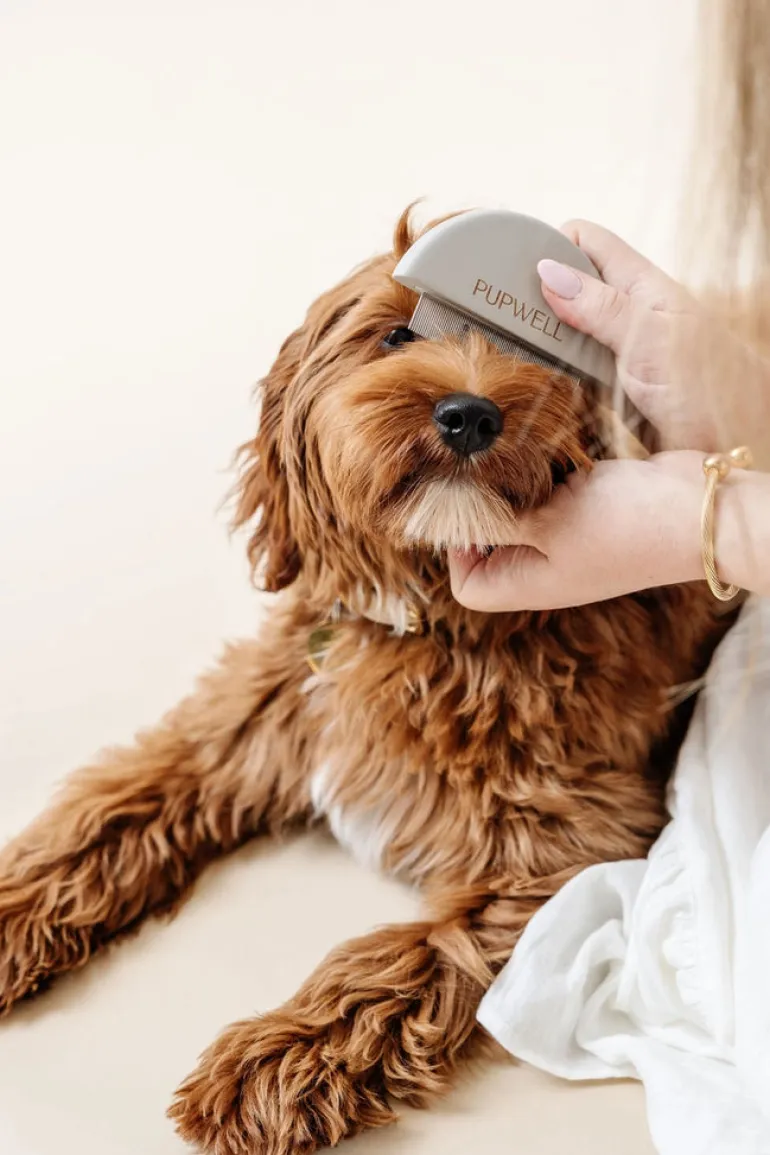 Detailer Comb for Dogs