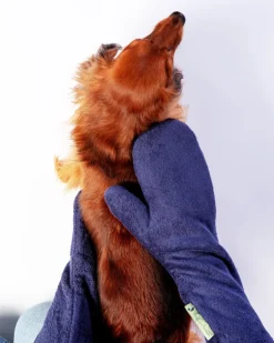 Dog Drying Mitts (Made in the UK)