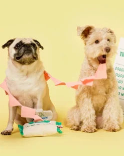 Doggo Wipes Nosework Dog Toy