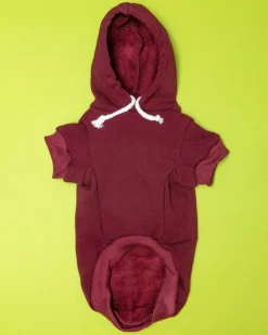 *Dogs for Democracy* Graphic Dog Hoodie (Proceeds Benefit the ACLU)