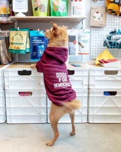*Dogs for Democracy* Graphic Dog Hoodie (Proceeds Benefit the ACLU)