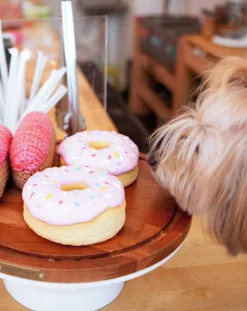 Donut Latex Squeaky Dog Toy