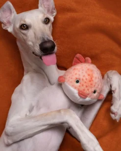 Dottie Puffer Fish Squeaky Plush Dog Toy