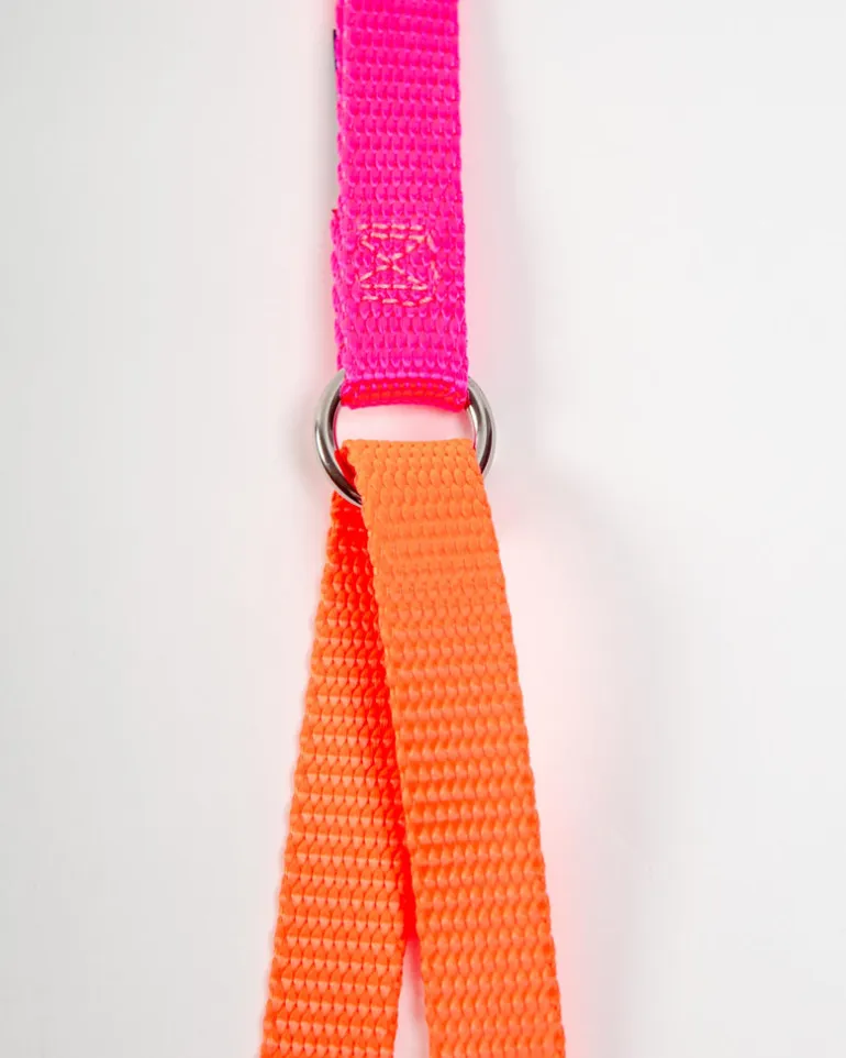 Double Clip Training Leash in Hot Pink + Neon Orange (Made in the USA)
