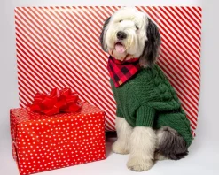 Downtown Roll Neck Dog Sweater in Evergreen (FINAL SALE)