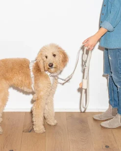 Durable Dog Leash in Grey