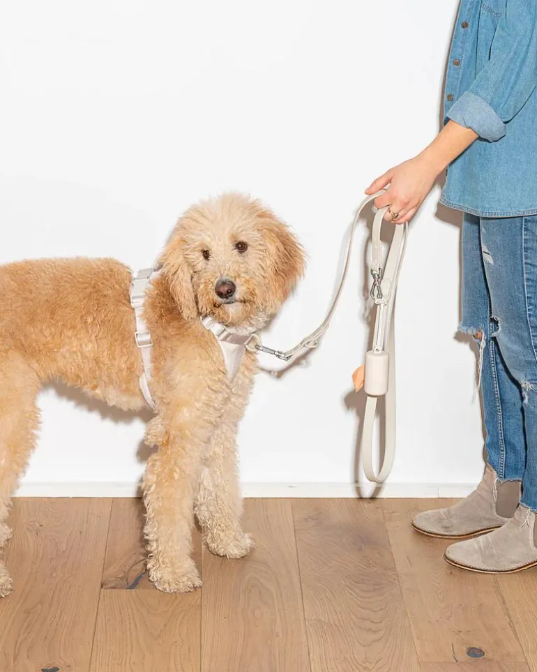 Durable Dog Leash in Grey