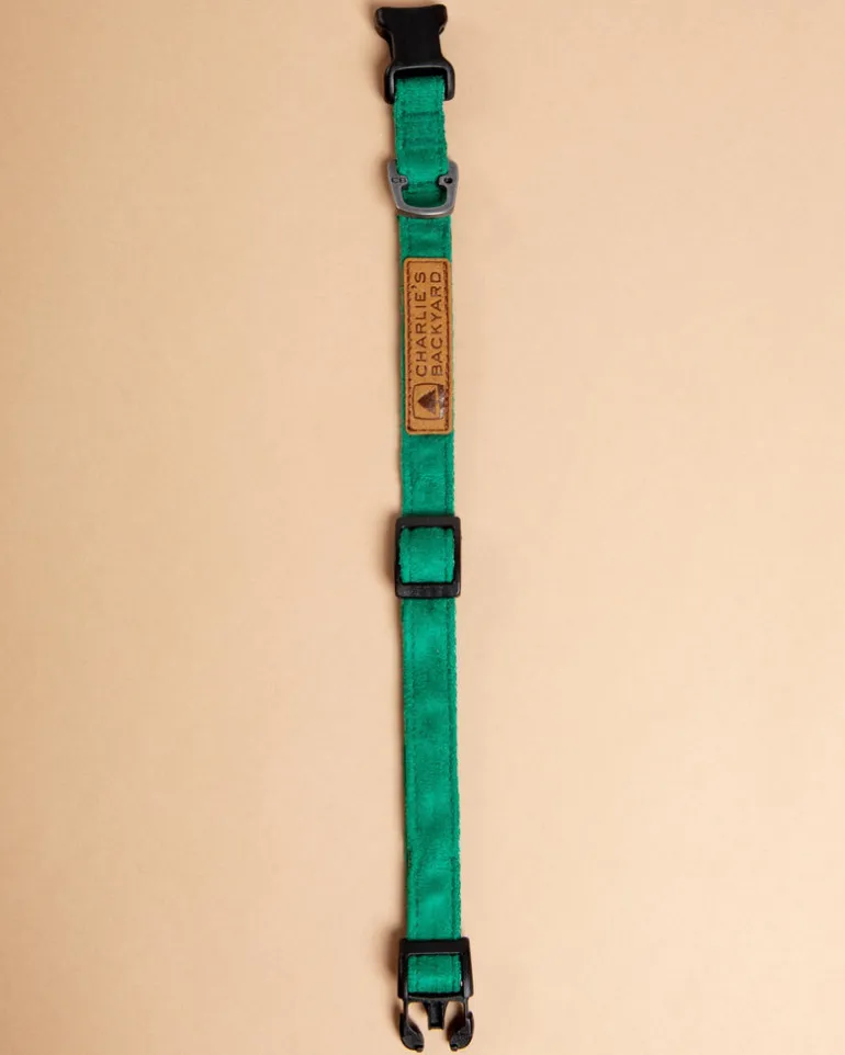 Easy Dog Collar in Green